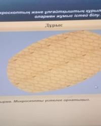 Предмет: основы естественно-научных знаний
