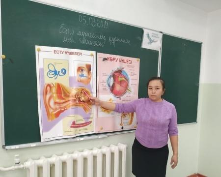 Есту мүшесінің құрылысы мен гигиенасы